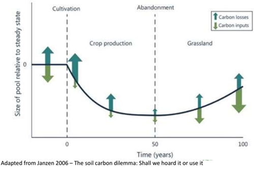 Soil Carbon Graph 1 Soil Carbon Graph 1