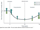 C or N: is soil carbon or nitrogen use efficiency the right policy focus?