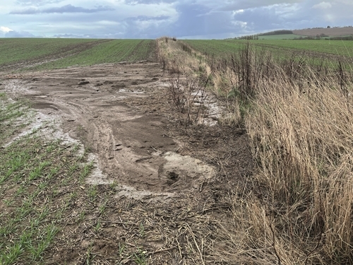 18 This Beetle Bank Stopped The Soil Reaching The River