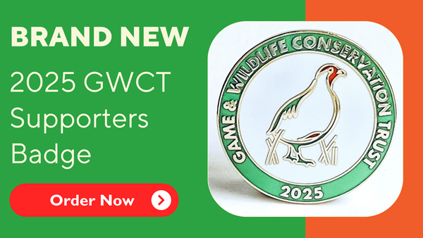 Orange Elegant Curved Frames And Border Financial Emergencies Fundraising Twitter Post