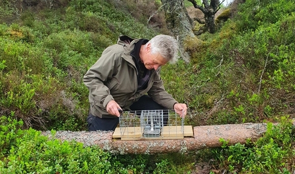 Hugo Inspecting Traps