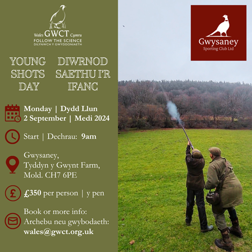 Gwysaney Young Shots Day (2 Sept 2024) BILINGUAL (£350) Gwysaney Young Shots Day (2 Sept 2024) BILINGUAL (£350)