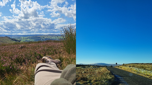 Placement Blog 1 Placement Blog 1