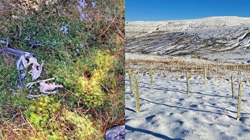 Placement Blog 2.png Placement Blog 2.png