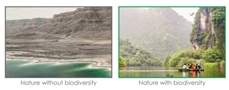 Screenshot 2024-09-16 155433 Screenshot 2024-09-16 155433