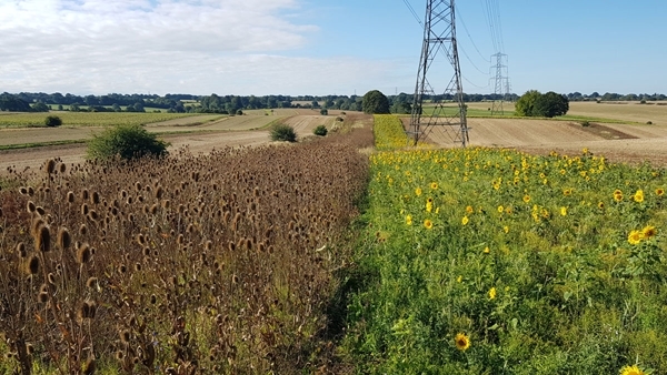 Biodiversity Biodiversity