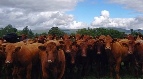 Screenshot 2024-09-30 112321 Screenshot 2024-09-30 112321