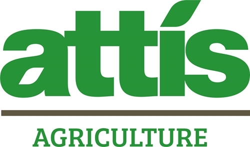 Asset 6@4x -100 Asset 6@4x -100