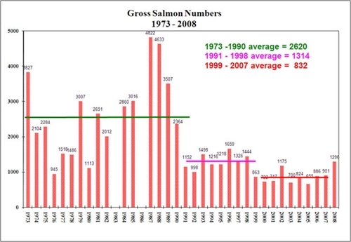Gross salmon numbers Gross salmon numbers