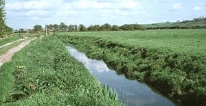 Ditch