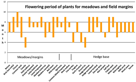 Flowering period of plants for meadows and field margins Flowering period of plants for meadows and field margins