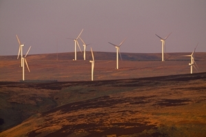 Wind farm (www.lauriecampbell.com)