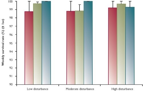 Weekly survival rates (± 1 se) of black grouse in relation to age, season and disturbance treatment. Juvenile and winter rates are for the period September to April (by which time juveniles have become adult), summer rates are for the period May to August