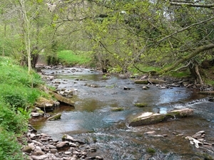 River Monnow