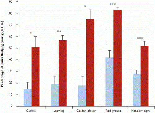 Breeding success of ground-nesting birds monitored as part of the Upland Predation Experiment after controlling for site and year effects Breeding success of ground-nesting birds monitored as part of the Upland Predation Experiment after controlling for site and year effects