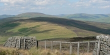 Langholm Moor Demonstration Project
