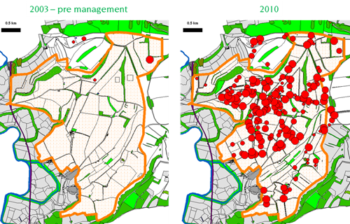 Grey partridge autumn counts from 2003 (the year before the management started) and in 2010 (when both gamekeepering and habitat management were fully implemented). The red dots are individual grey partridge coveys, with the size of the dot relative to the number of young in each covey Grey partridge autumn counts from 2003 (the year before the management started) and in 2010 (when both gamekeepering and habitat management were fully implemented). The red dots are individual grey partridge coveys, with the size of the dot relative to the number of young in each covey
