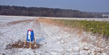 Winter feeding