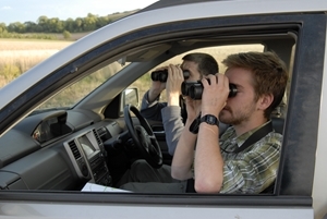 Partridge Count Scheme