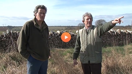 Return of the Grey Partridge Return of the Grey Partridge