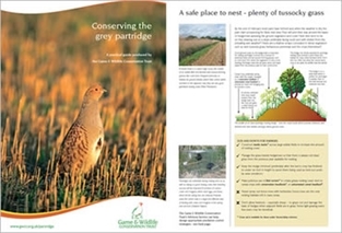 Greypartpages Greypartpages