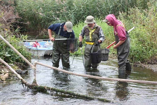 Dylan Roberts (GWCT head of fisheries), Eddie Hopkins (Bournemouth University) and Luke Gwilliam (Bridgewater College) electro-fishing