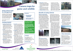 Camera Traps Guide