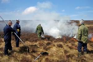 Muirburn on Langholm Moor