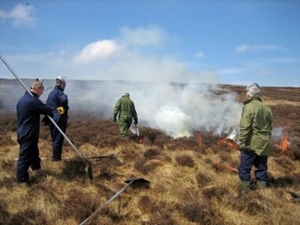 Muirburn
