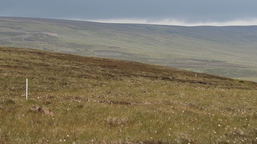 Markers for grit boxes at 100m