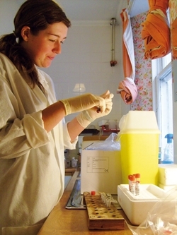 Performing a worm count