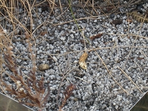 Faecal matter should be removed regularly