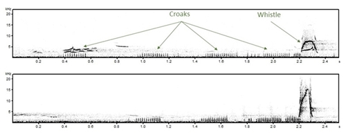Woodcock spectrographs Woodcock spectrographs