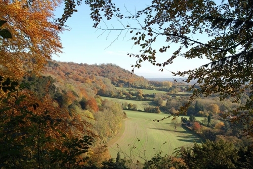 The tranquil, peaceful countryside of Hampshire