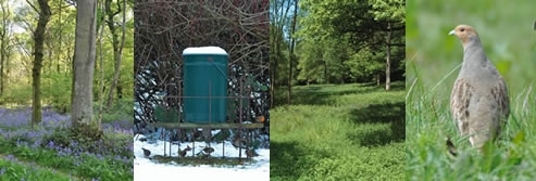 Things to do in autumn Things to do in autumn