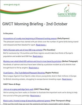 Morning Briefing Email