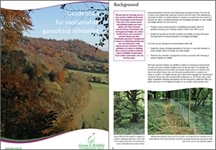 Releasing Guidelines