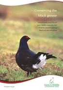 Conserving the black grouse