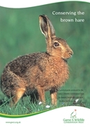 Conserving the brown hare