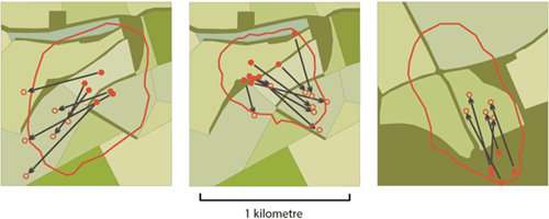 The ecology of hares on open farmland The ecology of hares on open farmland