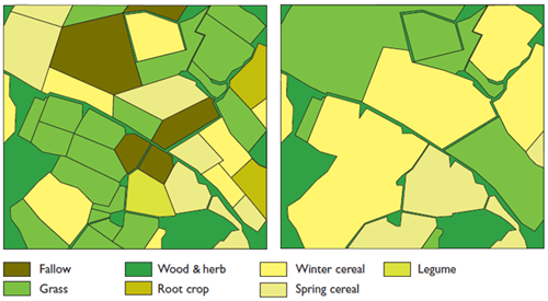 Field patterns Field patterns
