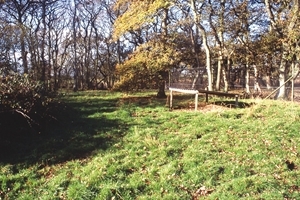 Pheasant release pen