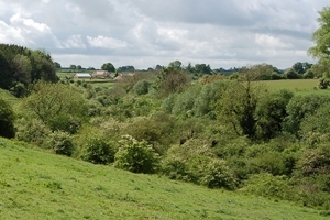 Shrubby valley