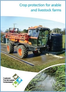 Clear and simple advice