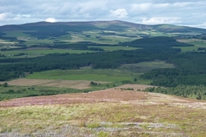 Auchnerran overview