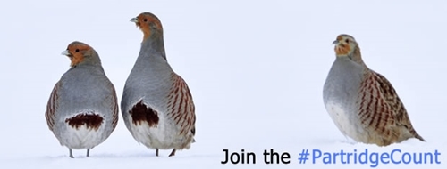 Grey Partridge Count Scheme Grey Partridge Count Scheme