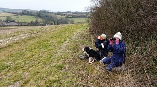 Camilla & Roly 2015 Count