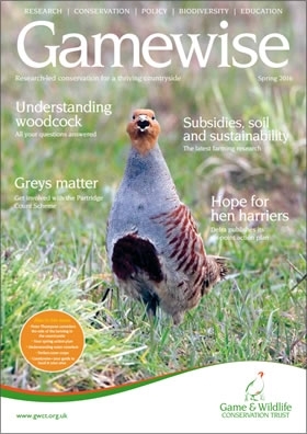 Gamewise - Spring 2016