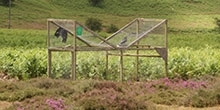 Multi-catch cage use in Scotland