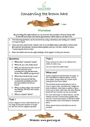 Brown hare worksheet